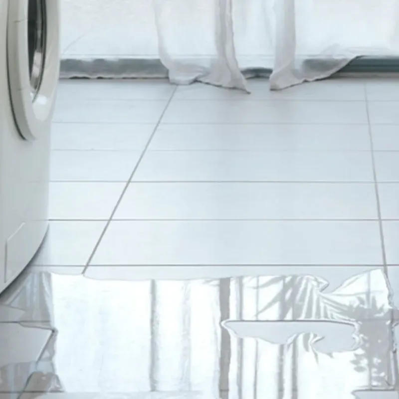 Appliance Leak Cleanup in Lake Odessa, MI