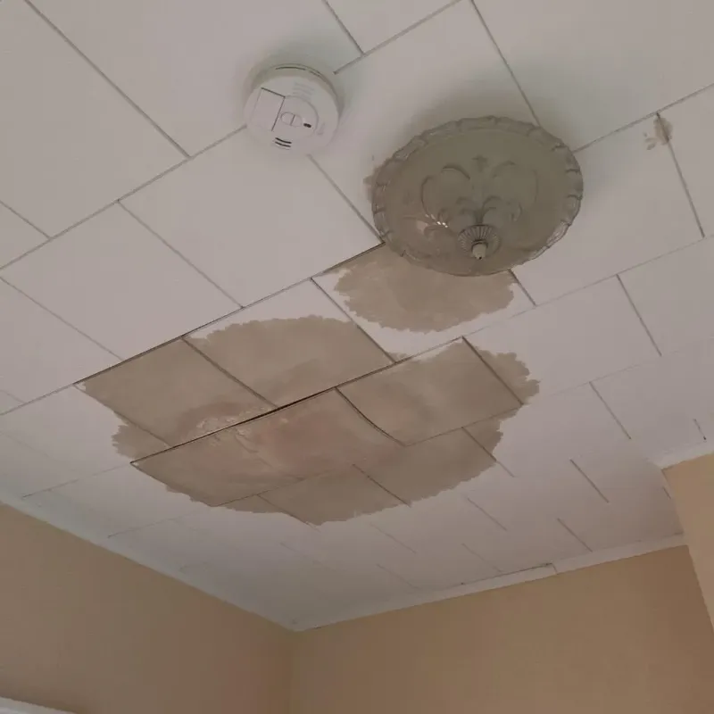 Ceiling Water Damage Repair in Lake Odessa, MI