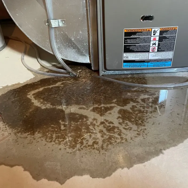 Pipe Burst and Leak Restoration in Lake Odessa, MI