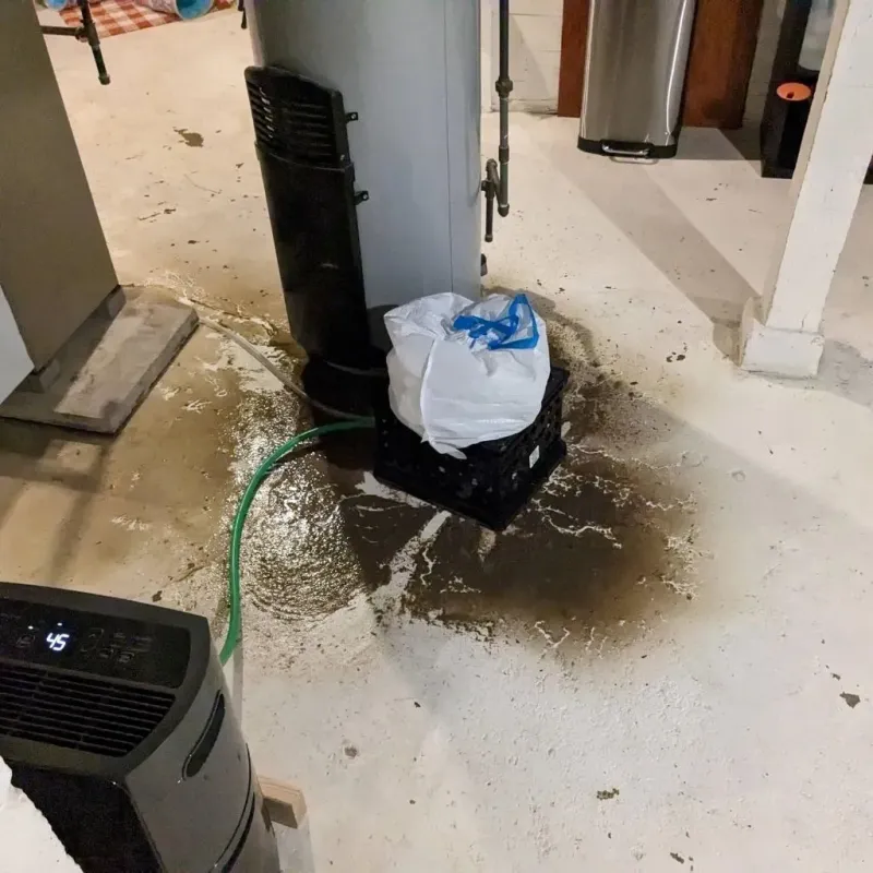 Sewage Backup Cleanup Service in Lake Odessa, MI